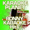 A-Type Player《Hohe Tannen (Karaoke Version)(Originally Performed by Ronny)》[MP3/LRC]