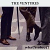 The Ventures《Opus Twist》[MP3/LRC]