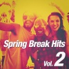 Party Hit Kings - When the Bassline Drops