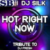 DJ Silk - Hot Right Now (Instrumental)