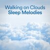 Seth Pinton - Goldberg Variations: I. Aria