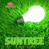 Suntree - Singularity