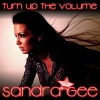 Sandra Gee - Turn Up the Volume (Radio Mix)