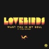 lovebirds、Stee Downes《Want You In My Soul (Summer In London Edit)》[MP3/LRC]