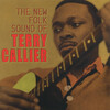 terry callier - 900 Miles