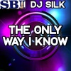 DJ Silk - The Only Way I Know