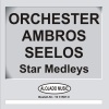 Orchester Ambros Seelos - Roy Black Medley