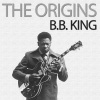 B.B. King《Don't You Want a Man Like Me》[MP3/LRC]