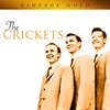 The Crickets - More Than I Can Say