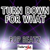 Pop Beatz - Turn Down for What
