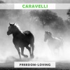 Caravelli - Amour, Tango Et Tambourin
