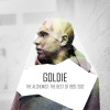 Goldie、metalheadz、Metalheadz - Terminator