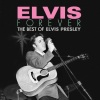 Elvis Presley《Heartbreak Hotel》[MP3/LRC]