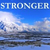 Pop Merchants - Stronger - Tribute to Clean Bandit