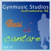 Gynmusic Studios - Dolore e forza (Originally Performed By Biagio Antonacci|Karaoke Version)