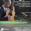 Alberto Mesirca - 1. Allegretto Semplice