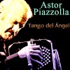 Astor Piazzolla《Calabre》[MP3/LRC]