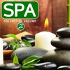 Zenitude Specialist - The Healing Harp
