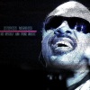 Stevie Wonder - Ain't That Love (Remastered)