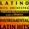Latino Hits Orchestra - Antologia