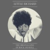 Little Richard《She's Got It》[MP3/LRC]