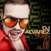 Dj Alvarez - Born to Be Alive (Radio Version)