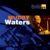 Muddy Waters - I Feel Like Going Home