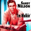 Sandy Nelson《Funny Face》[MP3/LRC]