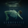 SuB Pub Music - Han Dure The Sailor