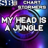 Chart Stormers - My Head Is a Jungle (MK Remix)