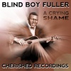 Blind Boy Fuller - Homesick Blues