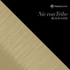 Nic Von Tribe - Beach Sand (Original Mix)