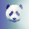 赵世聪 - 追光者