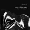Insect Elektrika - Tezkej BAGDAD (Original Mix)