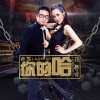 老猫、龙梅子 - 你的哈