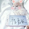 程嘉敏 - 月出