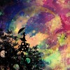 Xwdit - China-Lunar