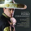 Pedro Fernandez、Cristian Castro - Mi Forma De Sentir (Album Version)