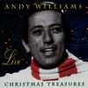 Andy Williams - The Most Wonderful Time Of The Year (Live)