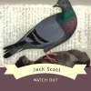 Jack Scott - So Used To Loving You