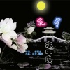 恋曲168 - 花月水中映