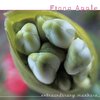 Fiona Apple - Parting Gift (Live Version)