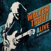 Walter Trout - Rock Me Baby (Live)