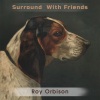 Roy Orbison - Trying to Get You