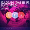 Damian Wasse、Kate Wild - Mystery (Remix)
