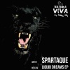 Spartaque《Liquid Dreams (Original Mix)》[MP3/LRC]