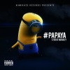 Stereo Monkey - Papaya (Original Mix)