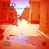 R.E.D. - Are You Livin' (Original Mix)