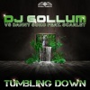 Danny Suko、Scarlet、Gollum - Tumbling Down (Radio Edit)