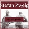 Stefan Zweig - Der Amokläufer, Kapitel 2